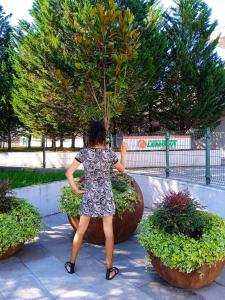 Travesti en Vizcaya: 