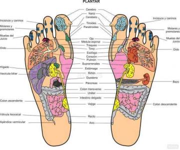 Chica busca chico en Álava: 