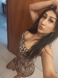 634356545: Transexual en Alicante