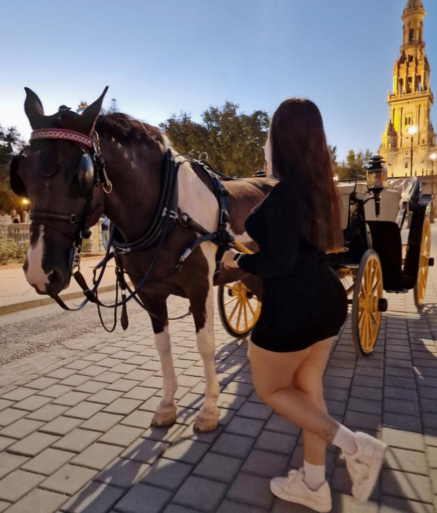 Chica busca chico en Sevilla: 