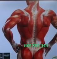 Chica busca chico en Zaragoza: 