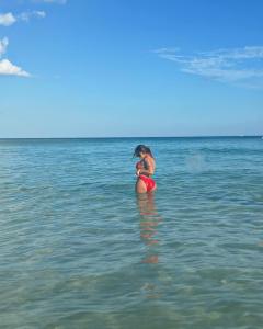 Transexual en Málaga: 