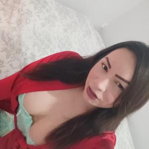 641017705: Transexual en Navarra