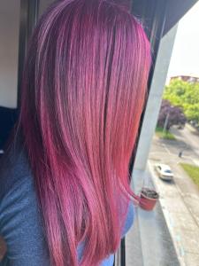 Transexual en Navarra: 