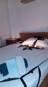 Chica busca chico en La Coruña: 