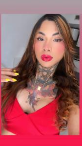 Travesti en Málaga: 