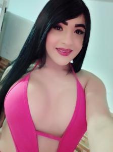 Travesti en Castellón: 