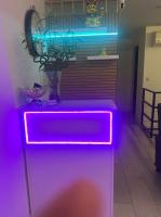 679935803: Chica busca chico en Mallorca