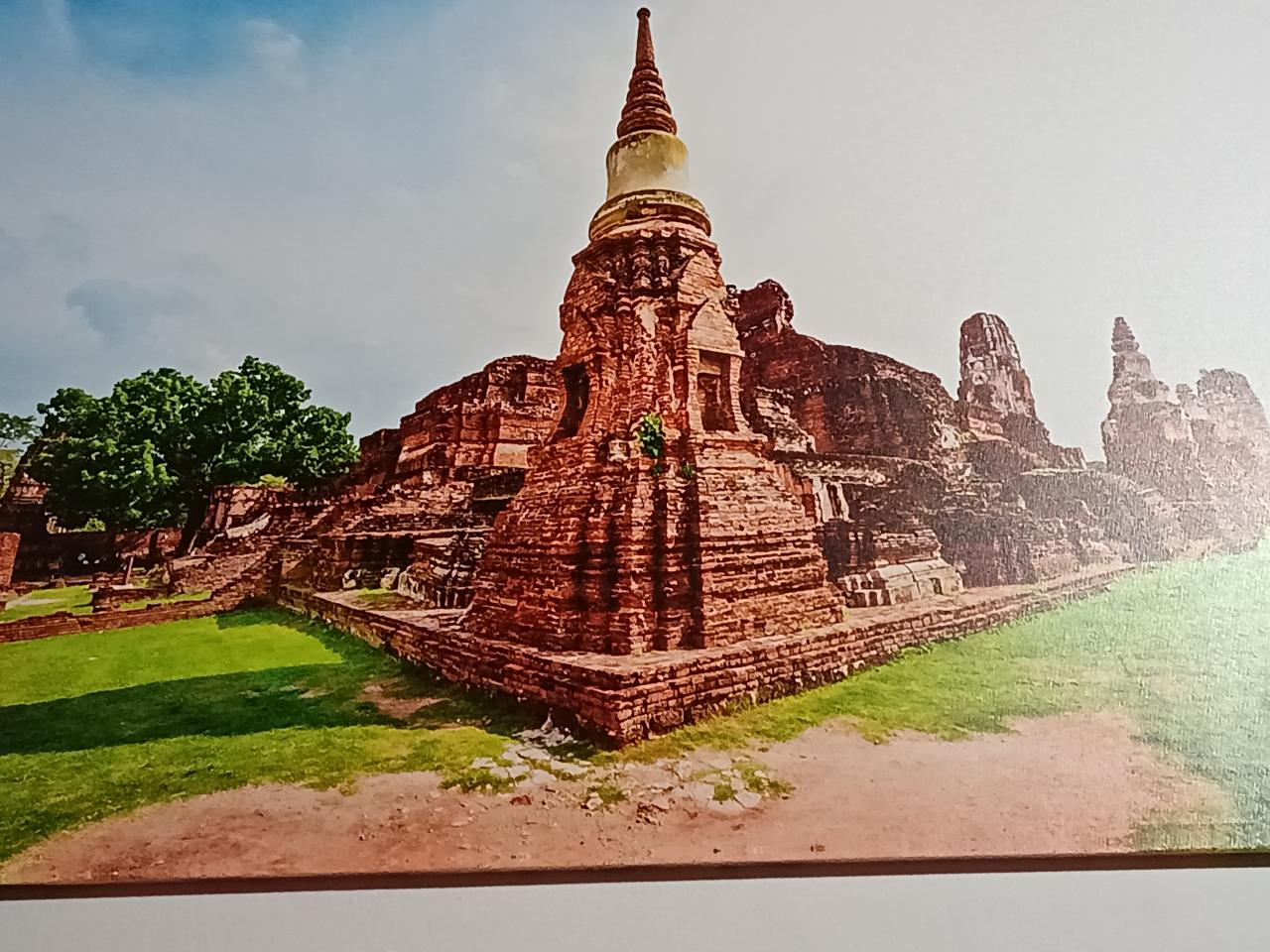 Chico busca chica en Tenerife: 