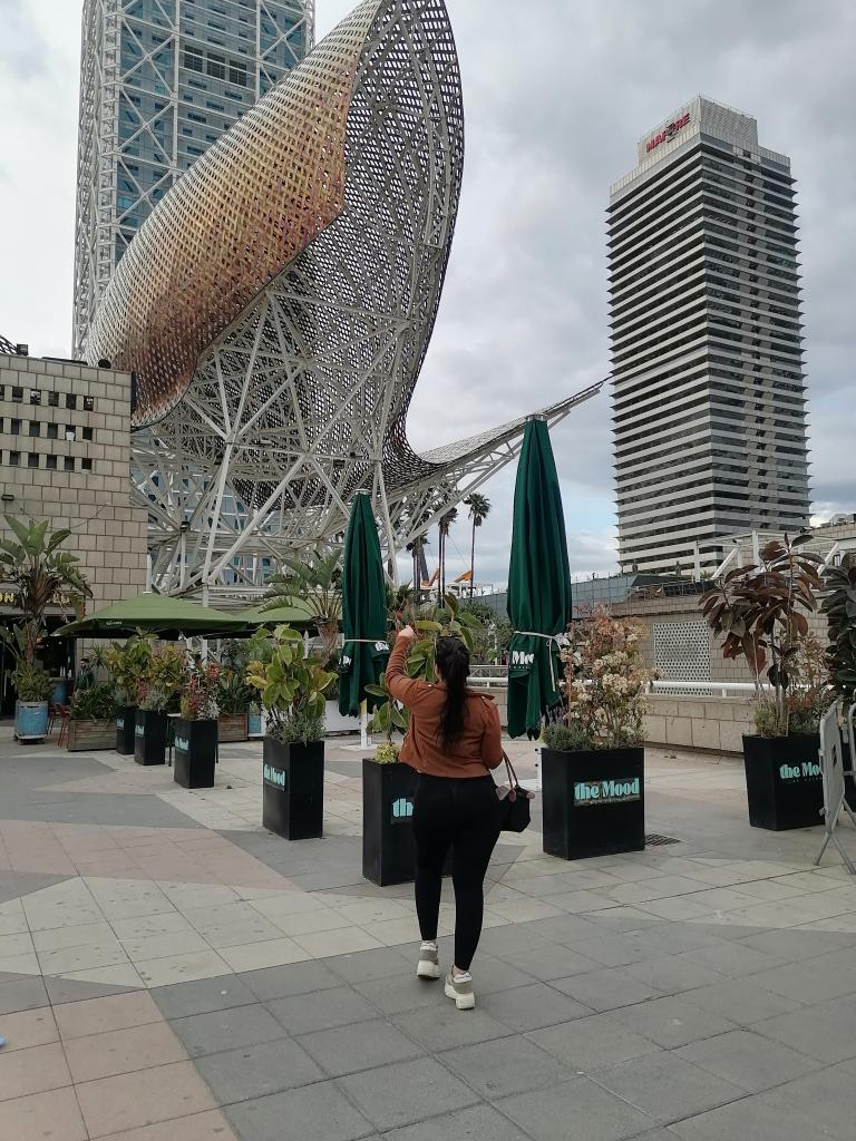 Chica busca chico en Barcelona: 