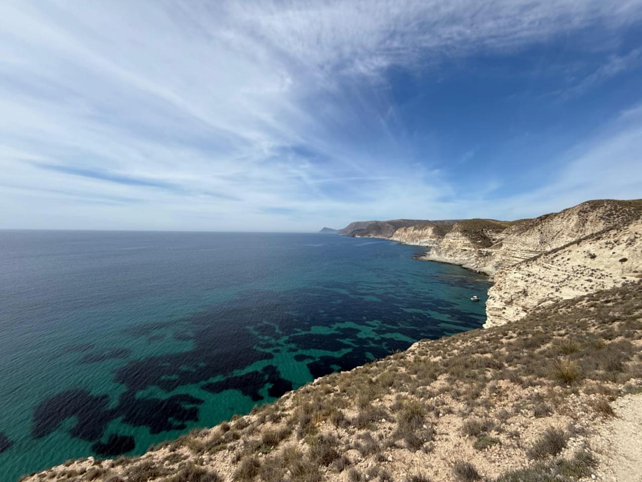 Chica busca chico en Valencia: 