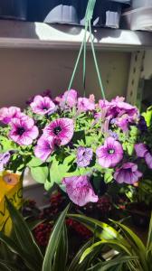 Chica busca chico en Zaragoza: 