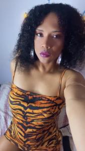 Travesti en Sevilla: 