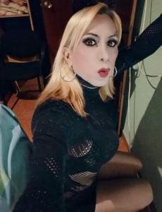 Transexual en Castellón: 