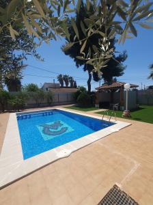 Chica busca chico en Murcia: 