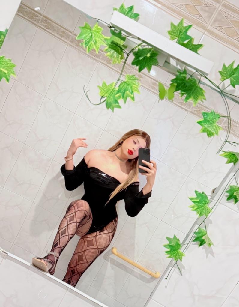 Travesti en Guipúzcoa: 