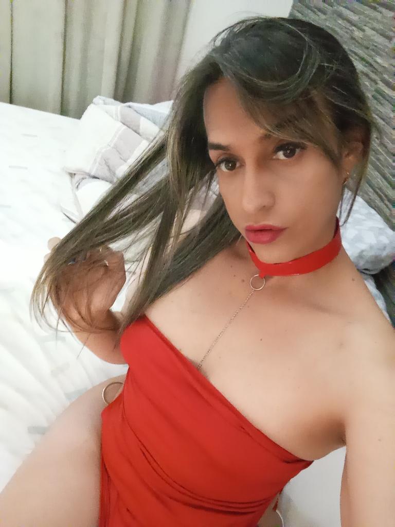 Transexual en Guipúzcoa: 