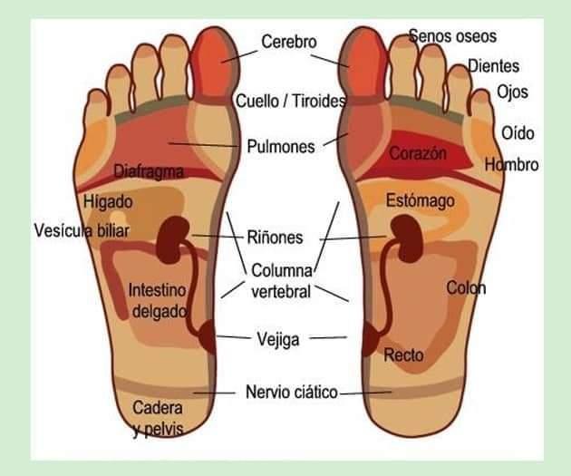 642761114: Chica busca chico en Asturias