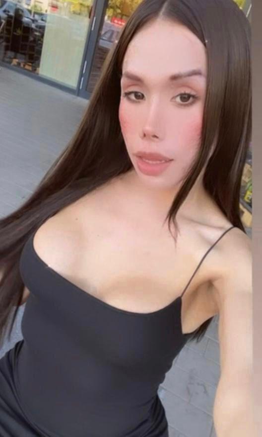 Travesti en Mallorca: 