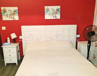 Chica busca chico en Ibiza: 