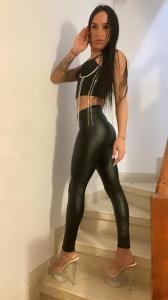 Transexual en Gerona: 