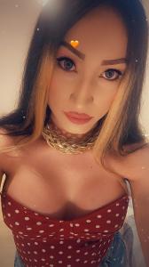 Travesti en Zaragoza: 