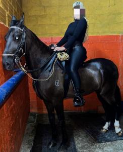 Chica busca chico en Las Palmas: 