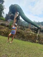 622540062: Chica busca chico en Almería