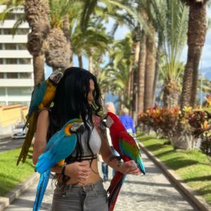 Transexual en Albacete: 