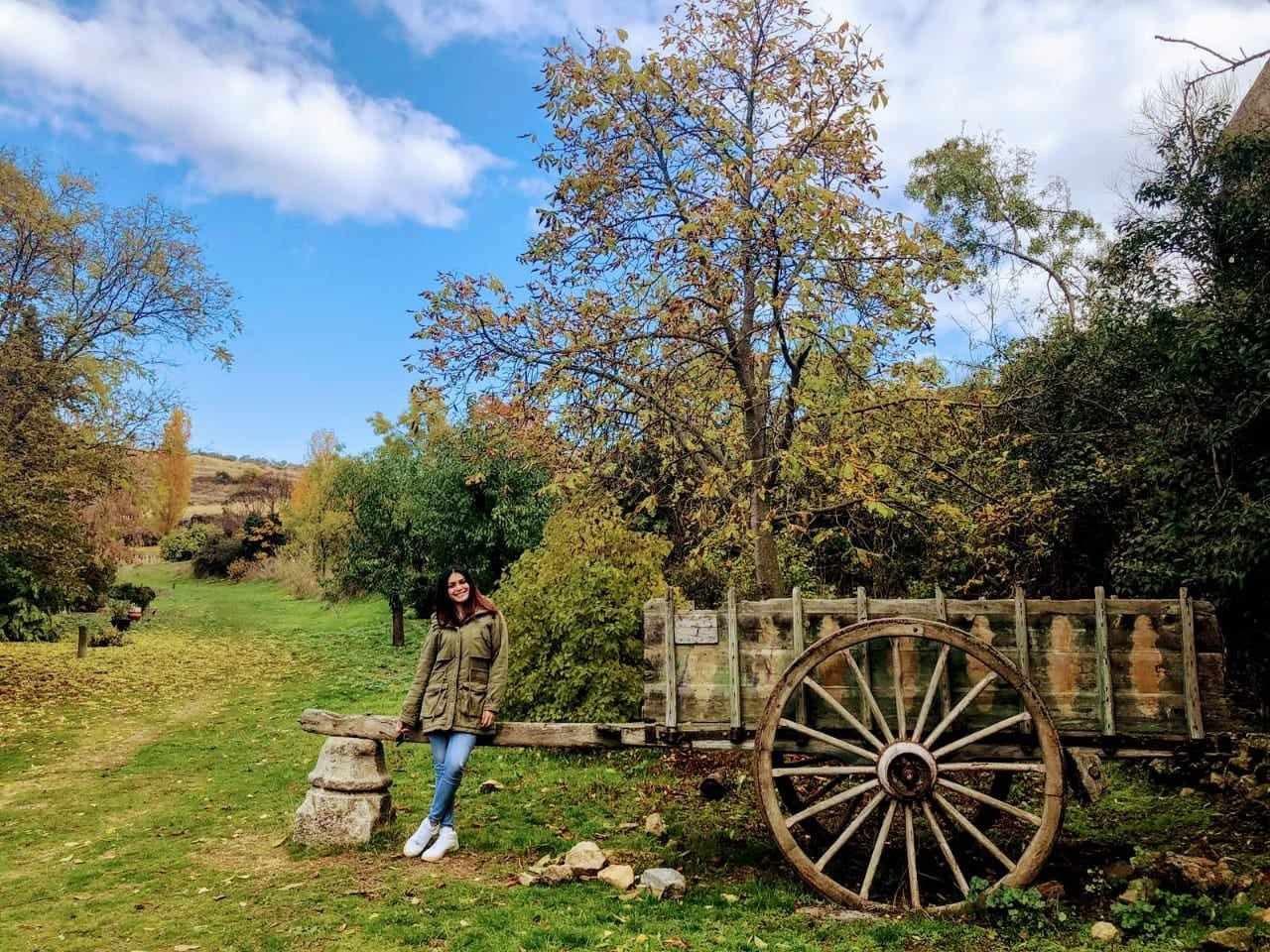 Chica busca chico en Valencia: 