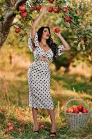 691099794: Transexual en Madrid