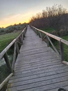 Chico busca chica en Cádiz: 