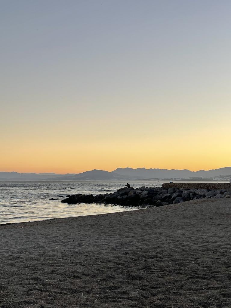 Transexual en Málaga: 