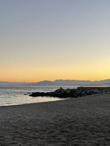 604443672: Travesti en Málaga