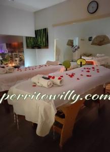 Chica busca chico en Sevilla: 