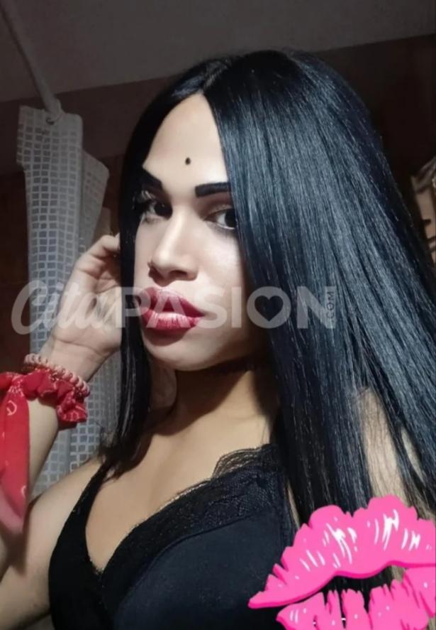 Travesti en Mallorca: 