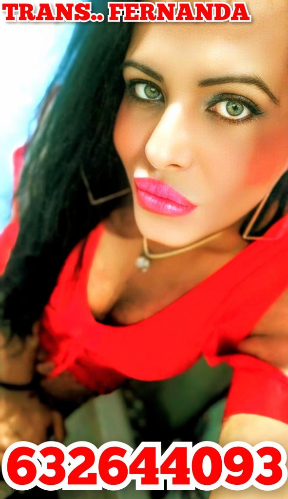 Travesti en Castellón: 