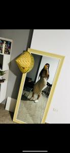 622447709: Chica busca chico en Pontevedra