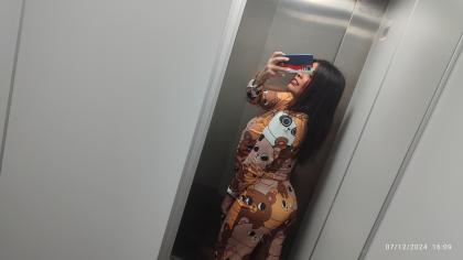 Travesti en Tarragona: 