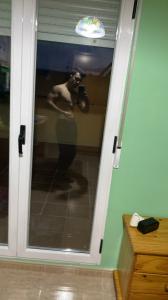 646624954: Chico busca chica en Ávila