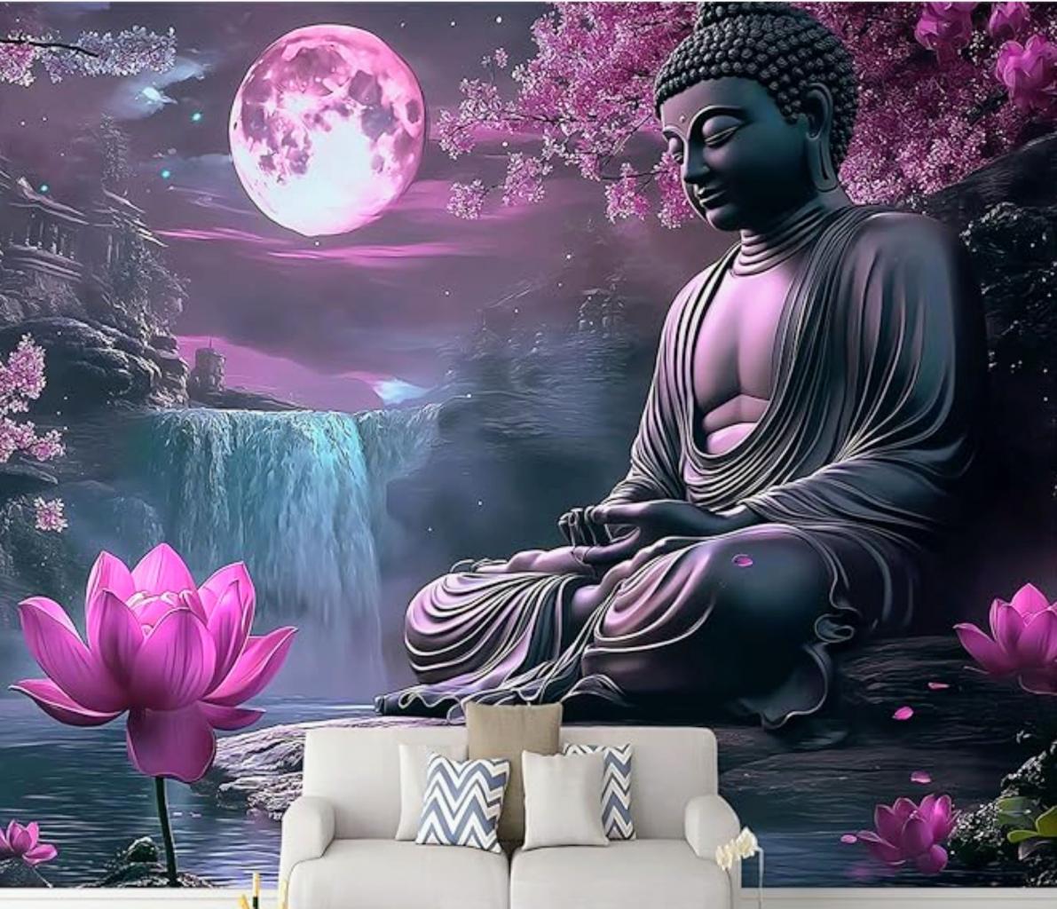 Chico busca chica en Navarra: 