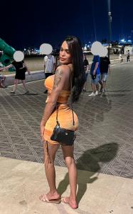 Travesti en Alicante: 