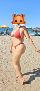 Chica busca chico en Valladolid: 