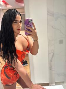 Travesti en Valencia: 