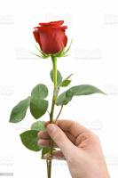 614283329: Chica busca chico en Alicante