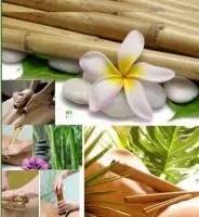 Chica busca chico en Guipúzcoa: 