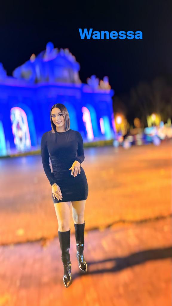 Chica busca chico en Madrid: Chica busca chico