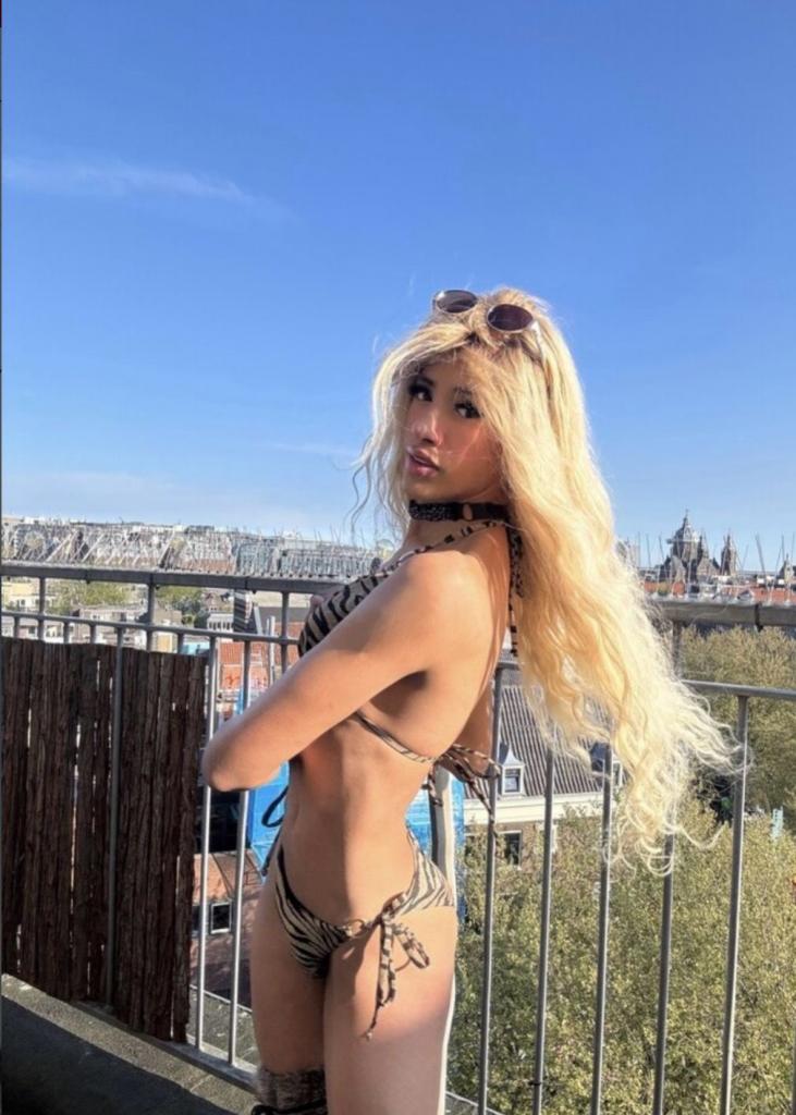 Travesti en Guipúzcoa: 