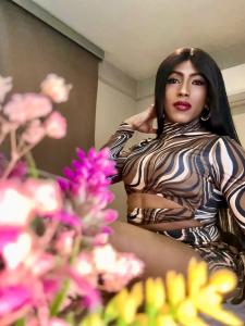 Travesti en Alicante: 