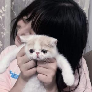 Chica busca chico en Tenerife: 